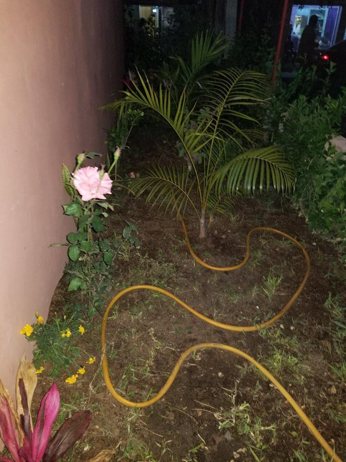 Apartment Confort Fann Hock *